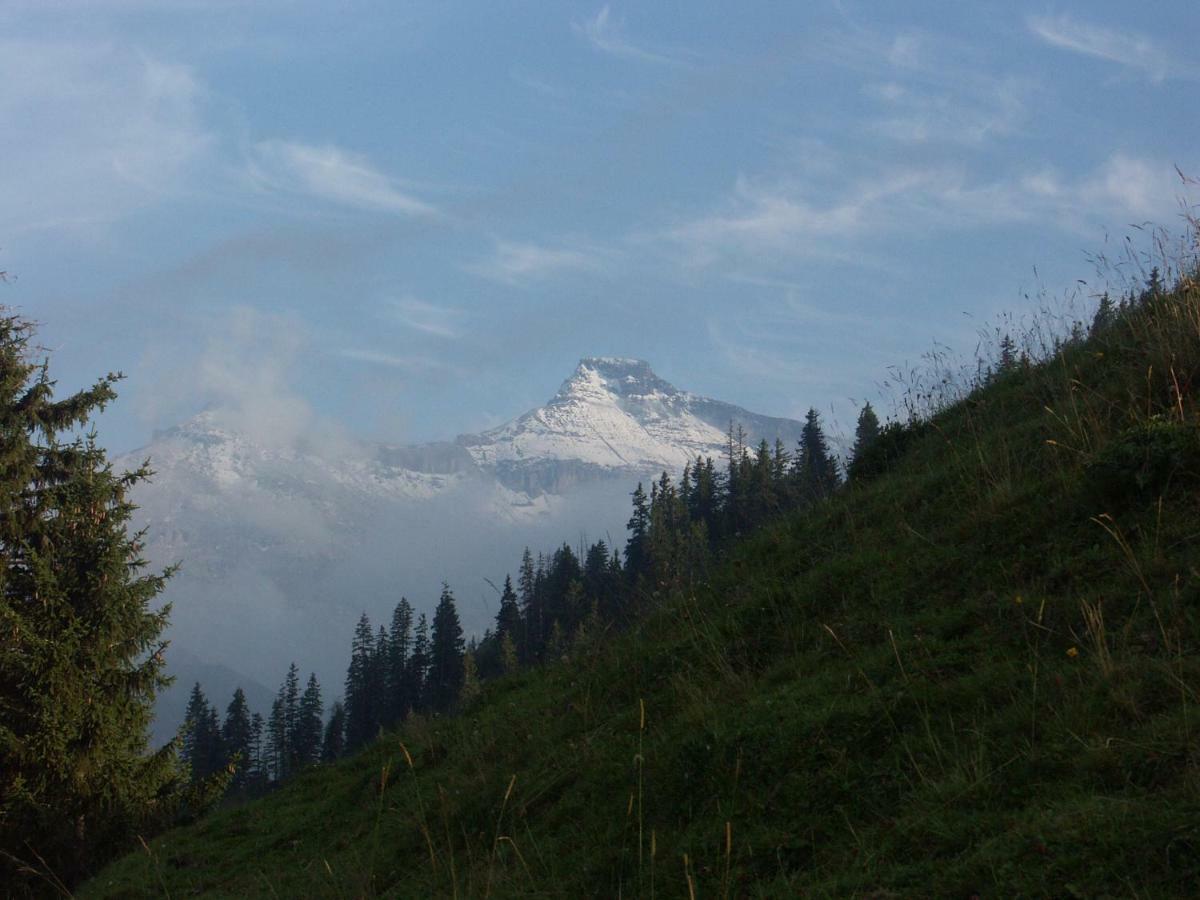 Pension Sonne Adelboden Exterior photo